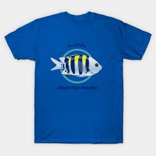 Sergeant Major Damselfish T-Shirt